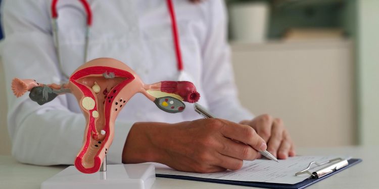 Understanding Fibroid Centers: Your Path to Better Health