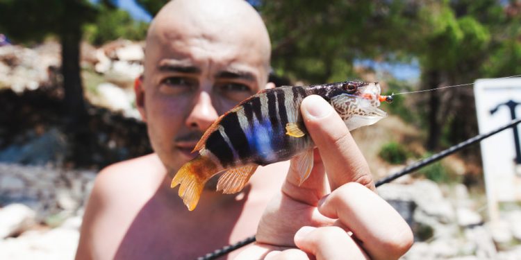 Experience the Thrill of Tarpon Fishing Costa Rica