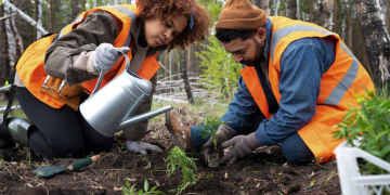 Protecting the Environment with Effective Erosion Control Solutions